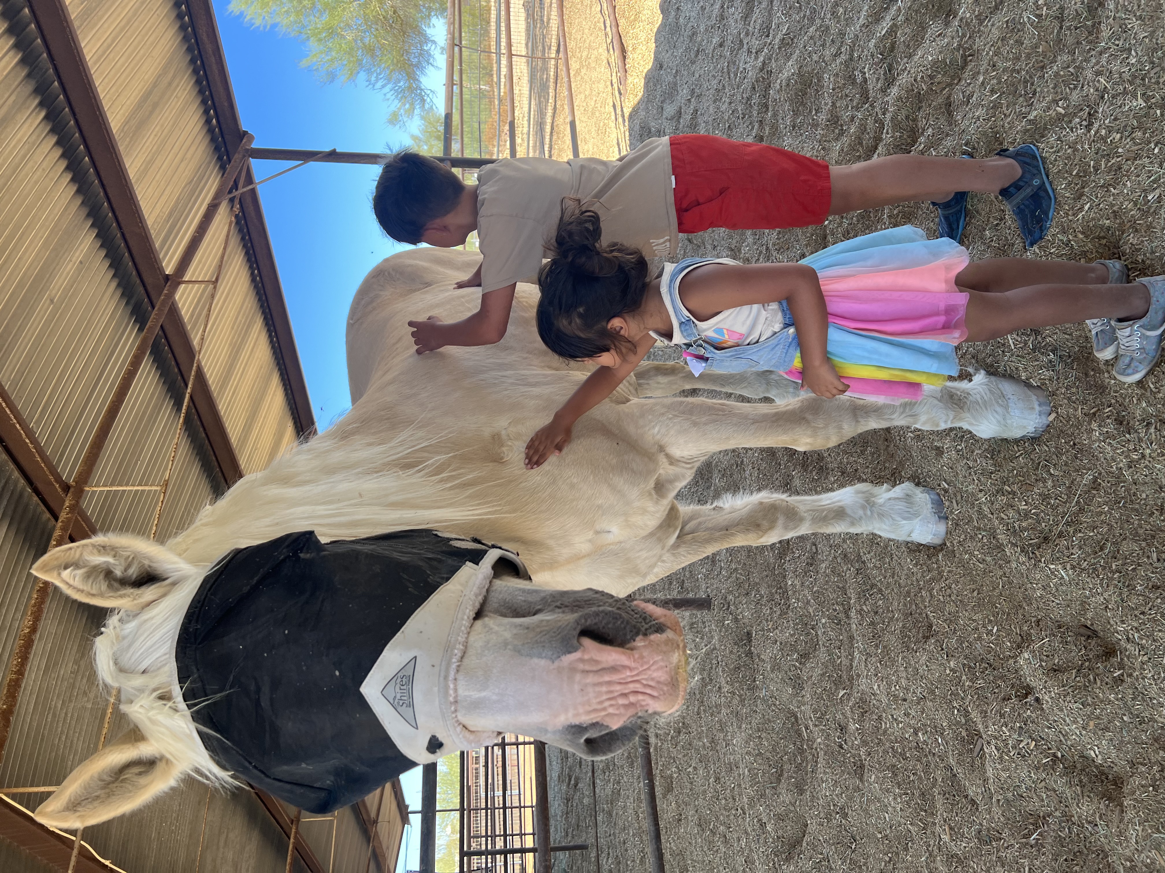 Healing Hearts Animal Rescue